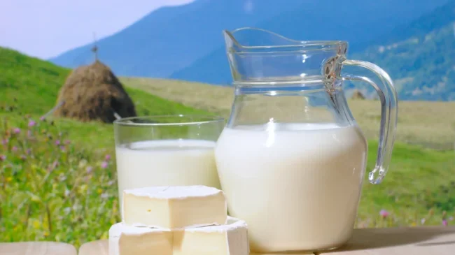 Goat milk: 6 reasons to switch to this nutritious milk