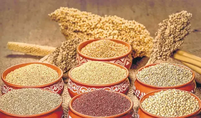 ​Millets to be consumed in the winter season​