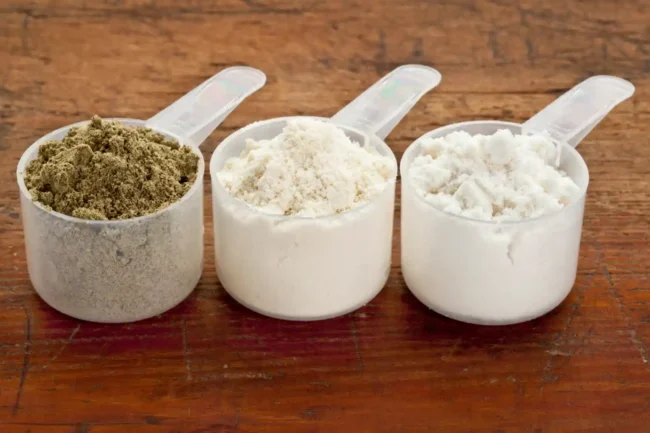 Best Protein Powders