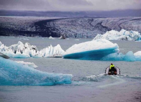 Antarctic