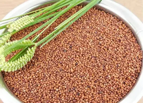 Ragi