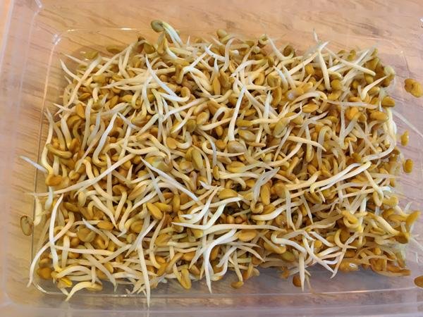 Ways to use soaked methi sprouts