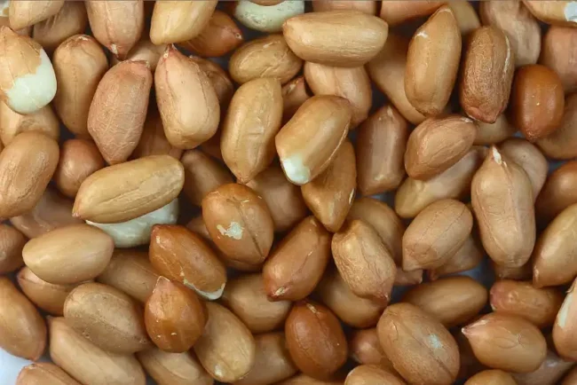 “Harnessing the Power of Peanuts for Weight Management”