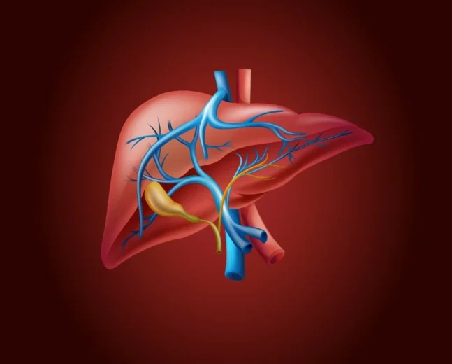 Liver Impact of Excessive Sugar Consumption