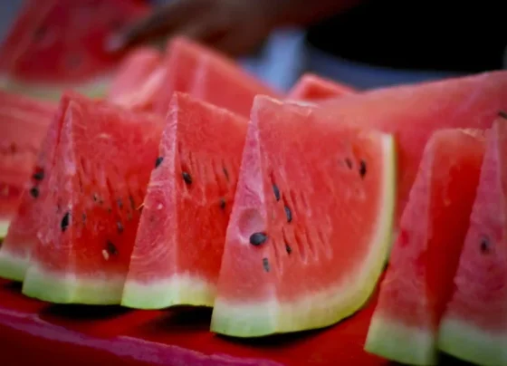 Wattermelon Seeds