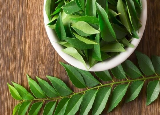 Chewing curry leaves