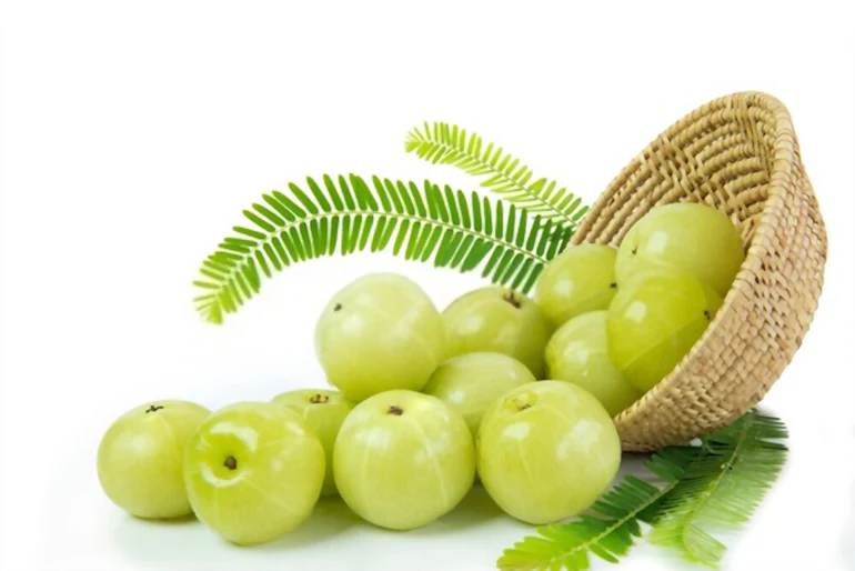 consuming Amla during periods