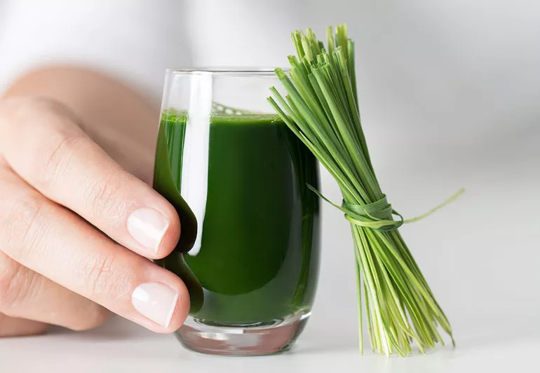 Wheat Grass Juice