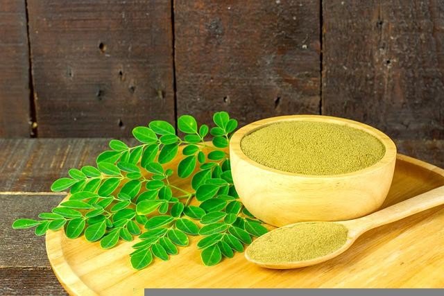 Moringa Benefits: reasons you must consume Moringa powder