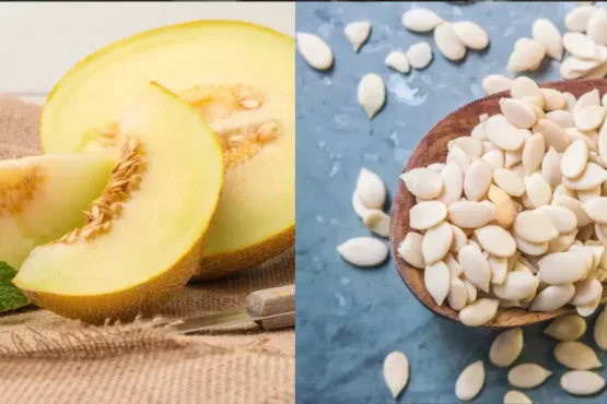 Health Benefits of Melon Seeds