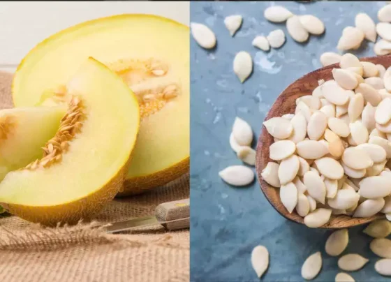 Health Benefits of Melon Seeds