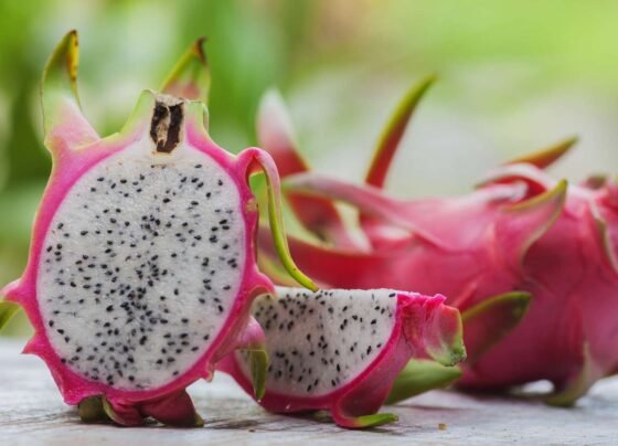 Dragon fruit