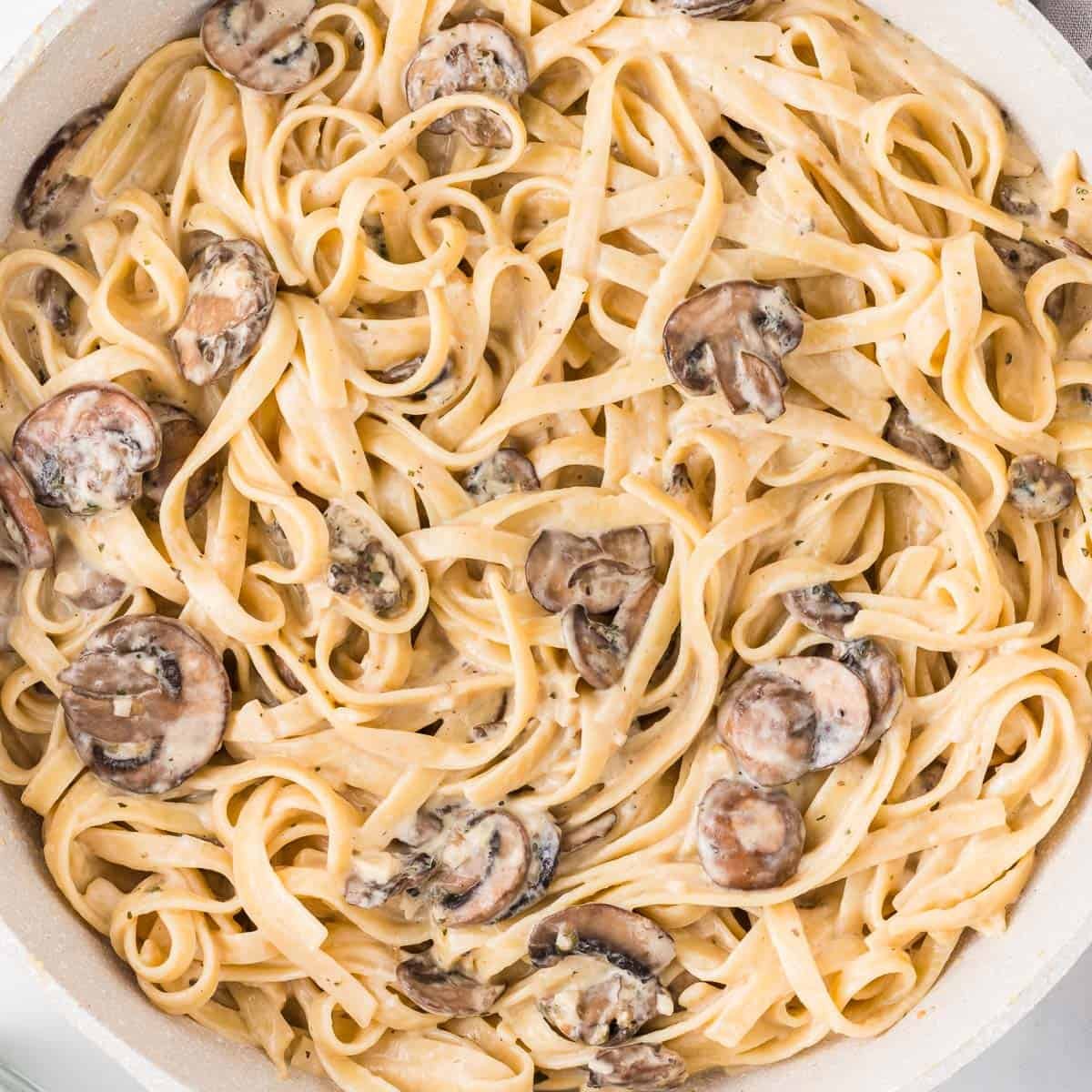 Creamy Mushroom Pasta Recipe