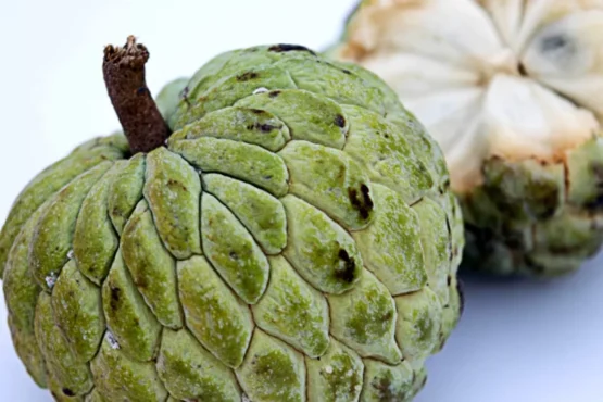 Custard Apple