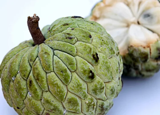 Custard Apple