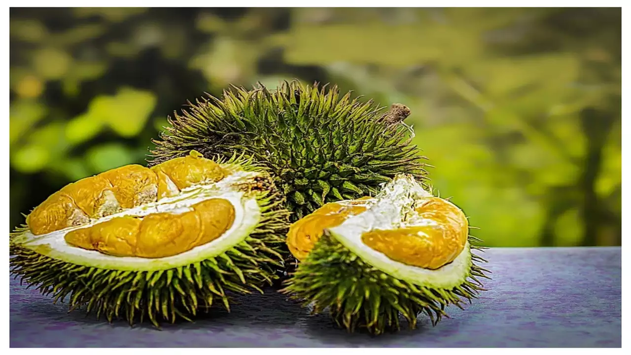 Durian in India: A Bold Investment in the King of Fruits