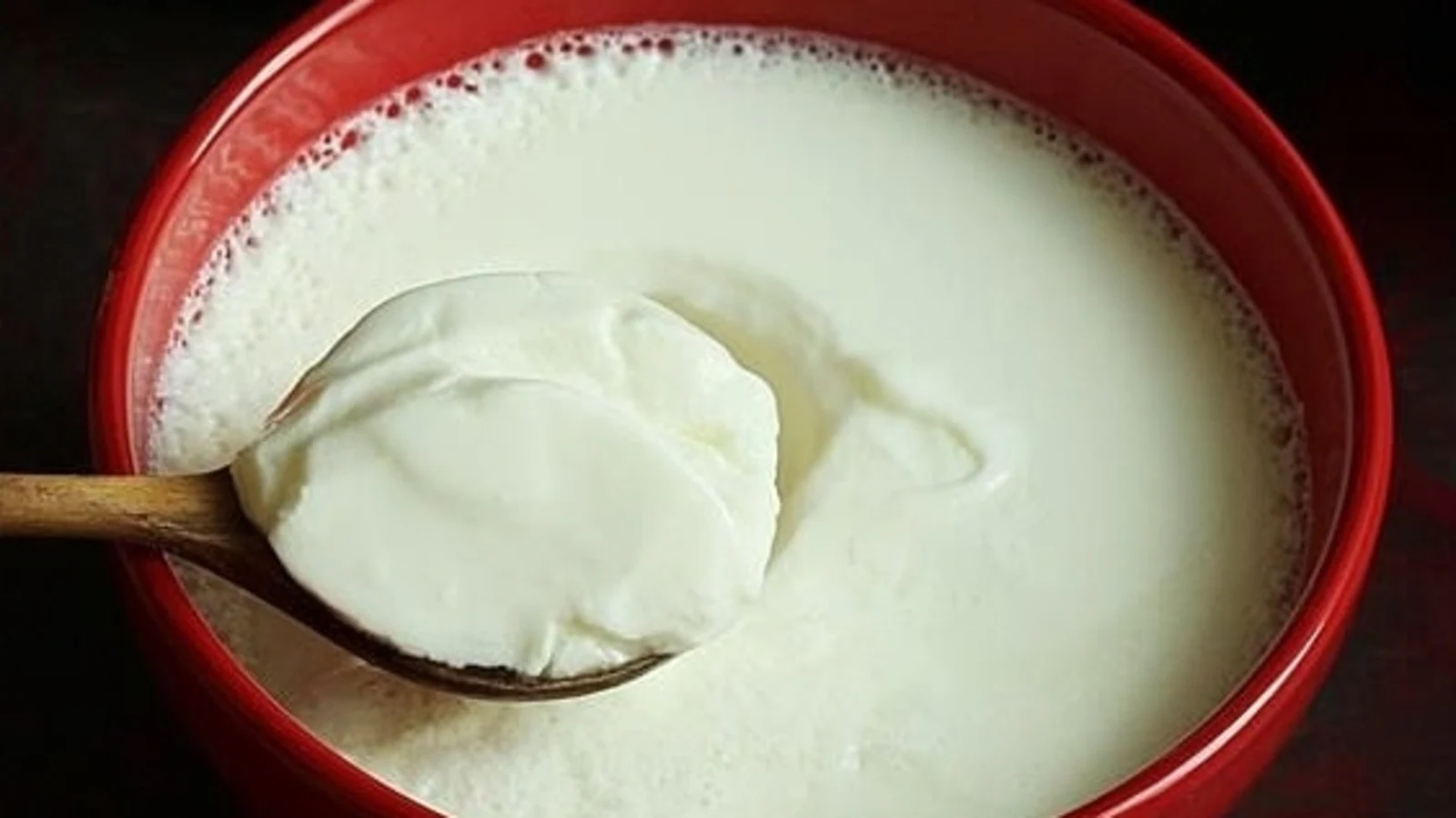 7 health benefits of having curd daily