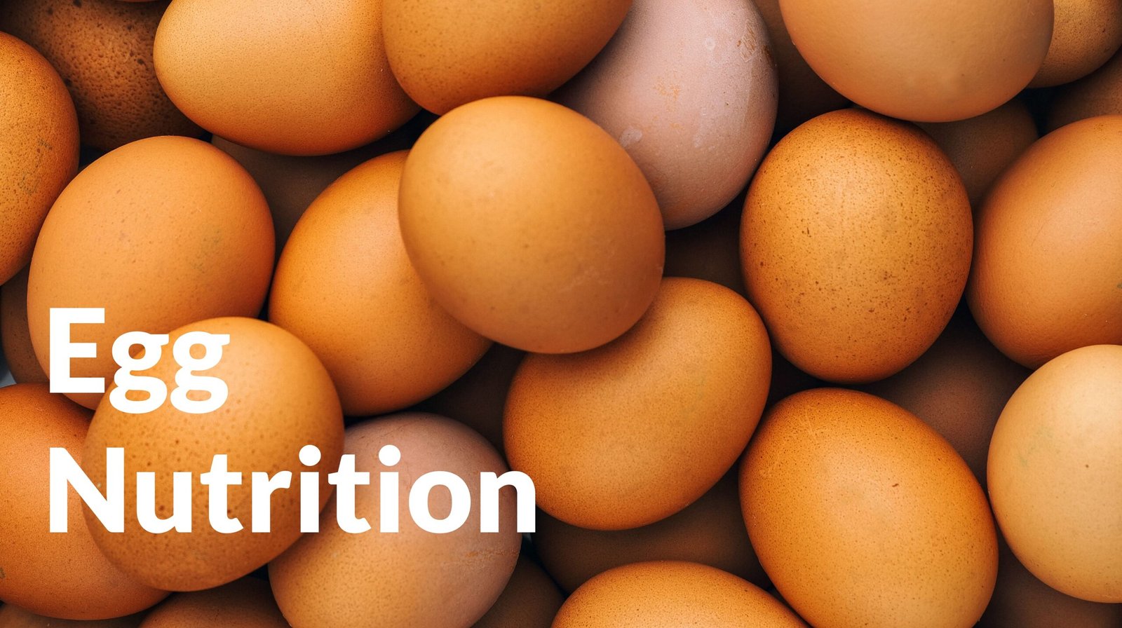 Egg Nutrition Facts: Calories, Protein and More