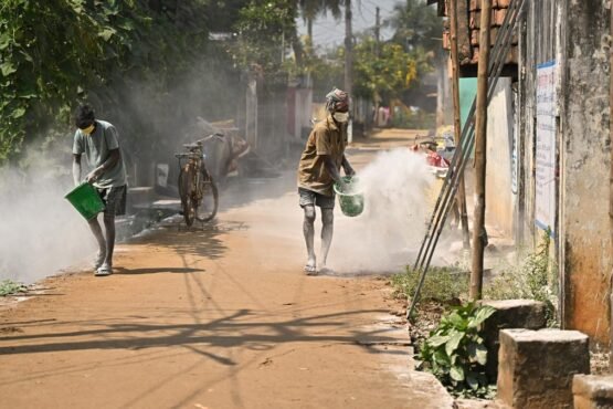 Bird flu outbreak in Andhra Pradesh