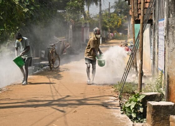 Bird flu outbreak in Andhra Pradesh