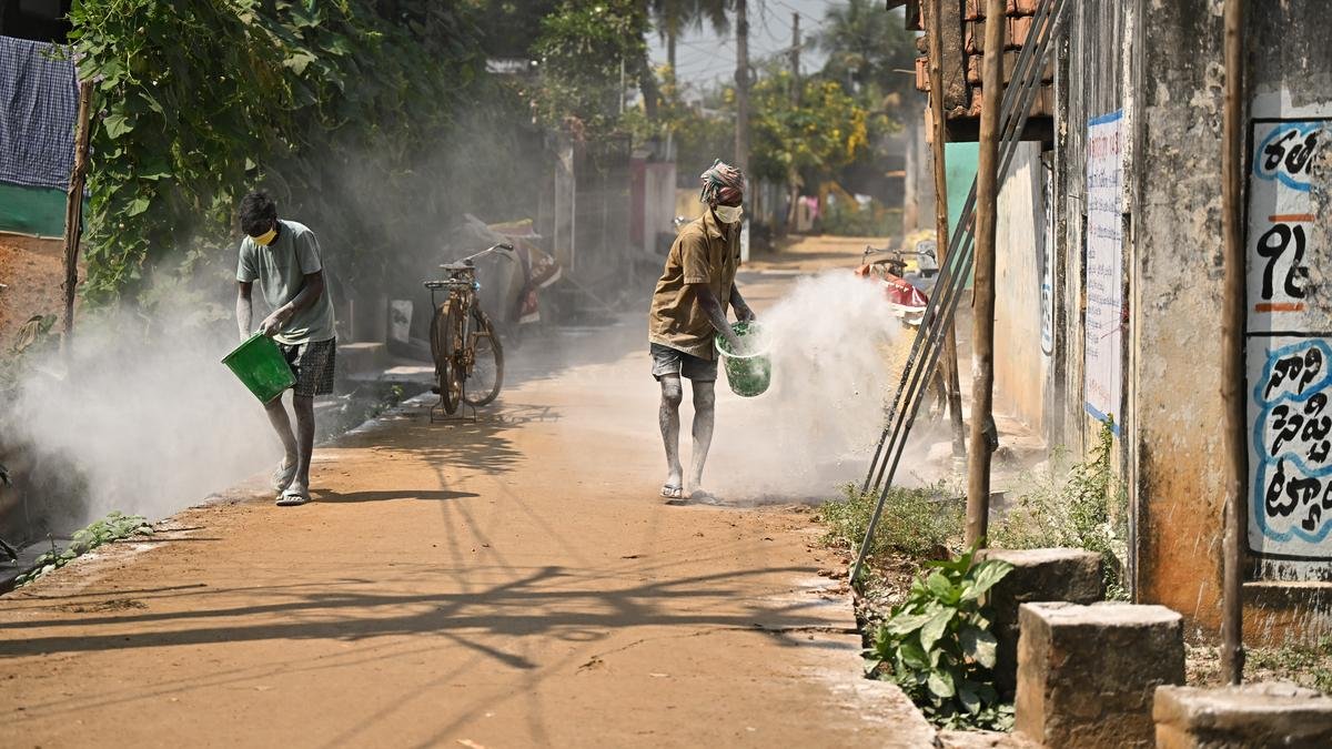 Bird Flu Outbreak in Andhra Pradesh: The Toll of the Avian Epidemic