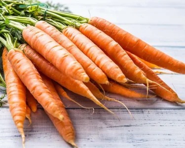 Health Benefits of Eating a Carrot Every Day