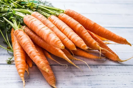 Health Benefits of Eating a Carrot Every Day