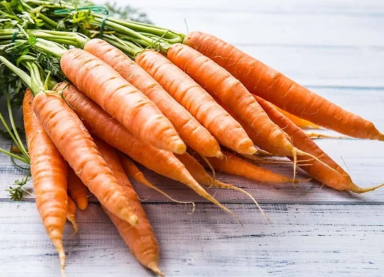 Health Benefits of Eating a Carrot Every Day