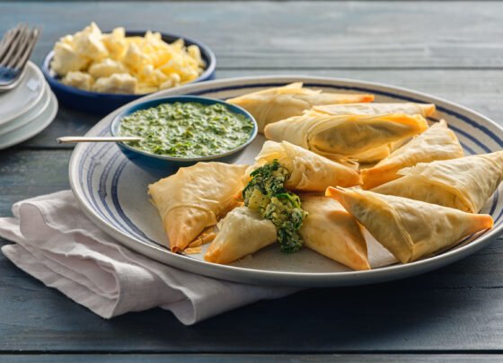 Spinach Vegetable Samosa Recipe