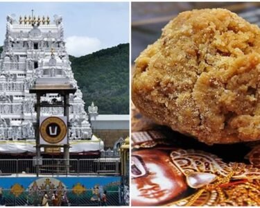 TTD introduces laddu token disbursing kiosks in Tirumala