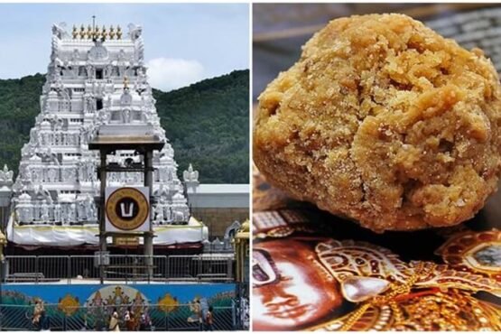 TTD introduces laddu token disbursing kiosks in Tirumala