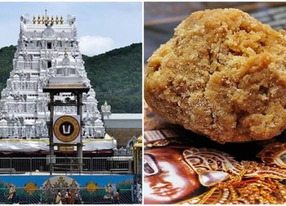 TTD introduces laddu token disbursing kiosks in Tirumala