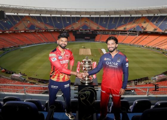 "IPL 2025 Final: RCB vs PBKS – AI Predicts the Winner, and It's Unanimous"