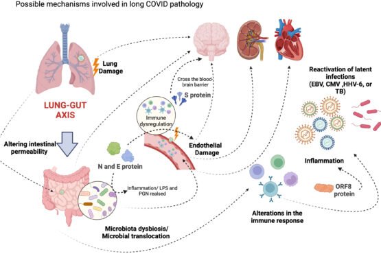 COVID-19 resurgence: New variant found in China is just 'small mutation' away from causing a pandemic again, warn scientists
