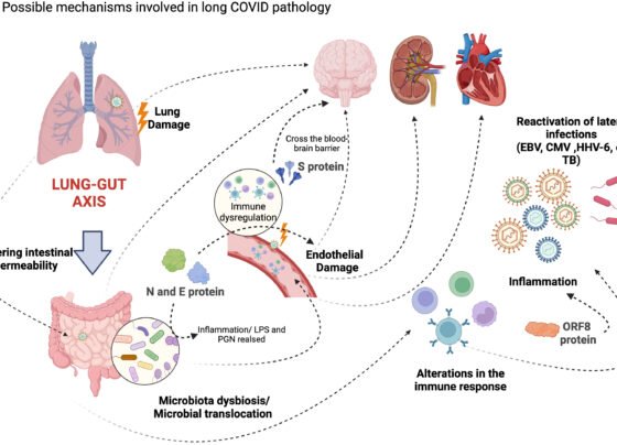COVID-19 resurgence: New variant found in China is just 'small mutation' away from causing a pandemic again, warn scientists