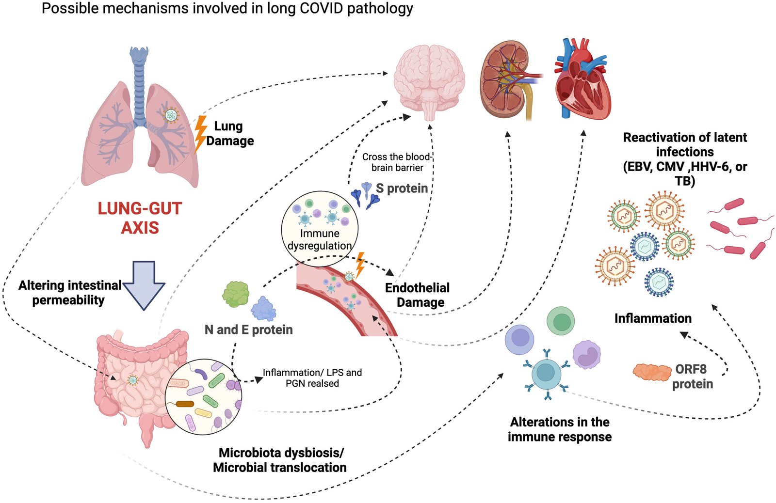 COVID-19 Resurgence: Scientists Warn New Variant in China Could Be Close to Triggering Another Global Health Crisis