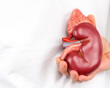 high blood pressure affects the kidneys