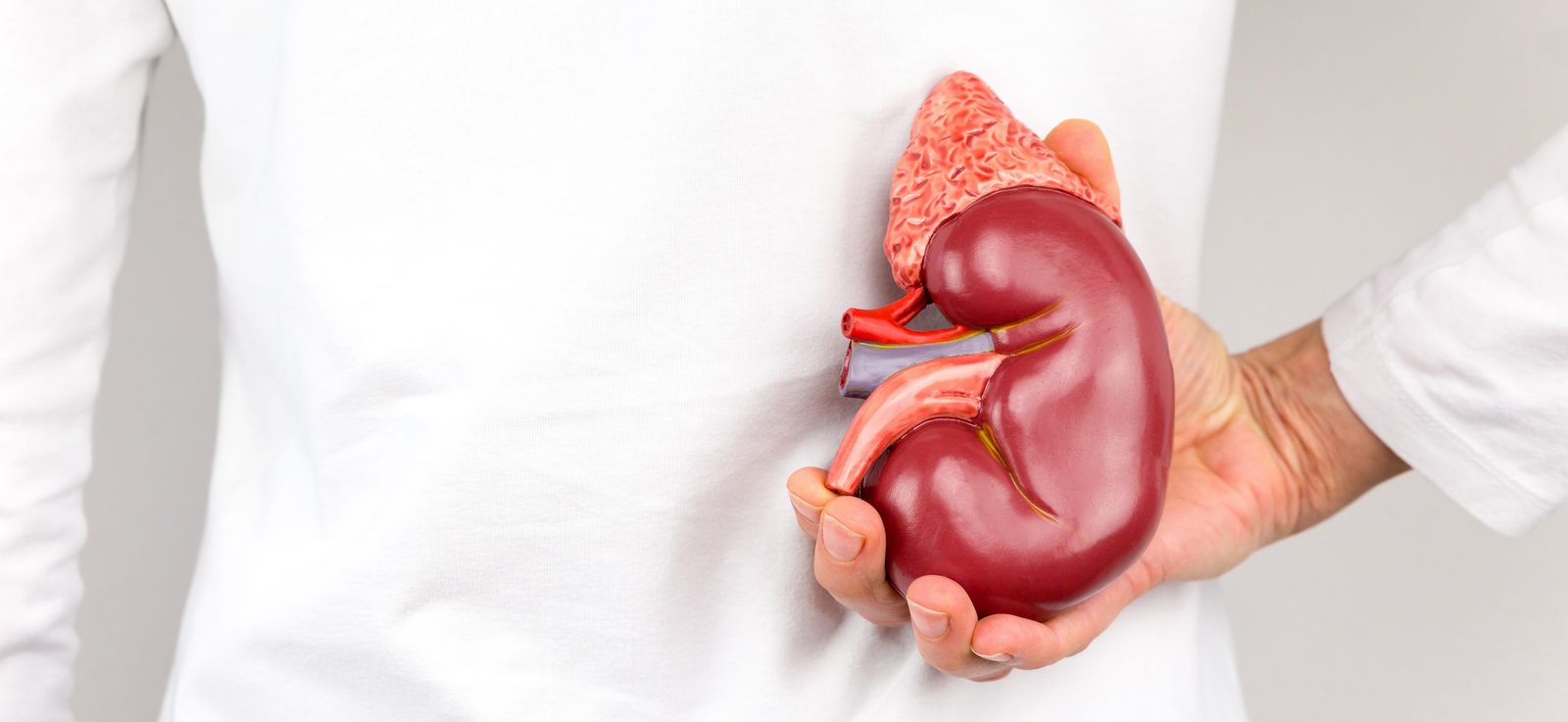 How High Blood Pressure Affects the Kidneys