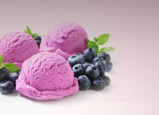 Berry Ice Cream Recipe