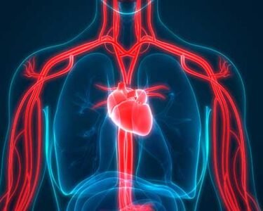 Heart attack risk? This heart scan can tell you more than a cholesterol test; but you probably haven't heard of it