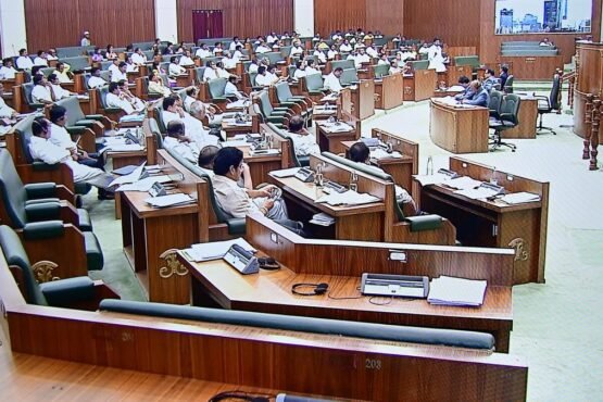 Assembly Passes Bills Increasing Daily Working Hours, Reducing Green Tax on HCVs