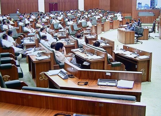Assembly Passes Bills Increasing Daily Working Hours, Reducing Green Tax on HCVs
