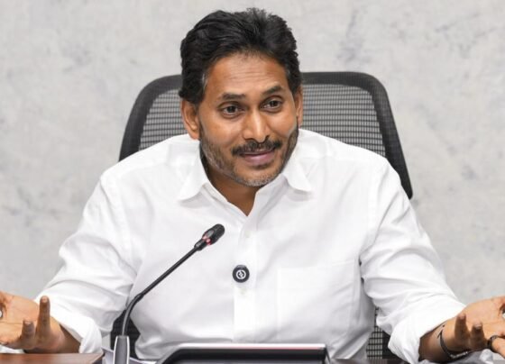Onion, Tomato Farmers on the Brink Amid Steep Fall in Prices, Govt. Neglect: YSRCP Chief Jagan