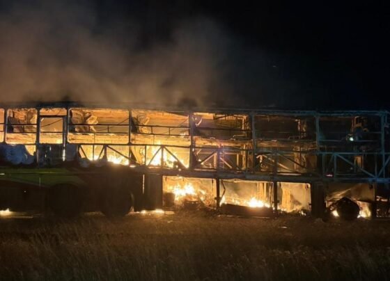 Tragic Incident on the Hyderabad–Bengaluru Route