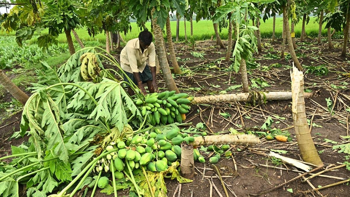 Cyclone Montha Wreaks Havoc in Andhra Pradesh: Two Dead, Power and Transport Hit Hard