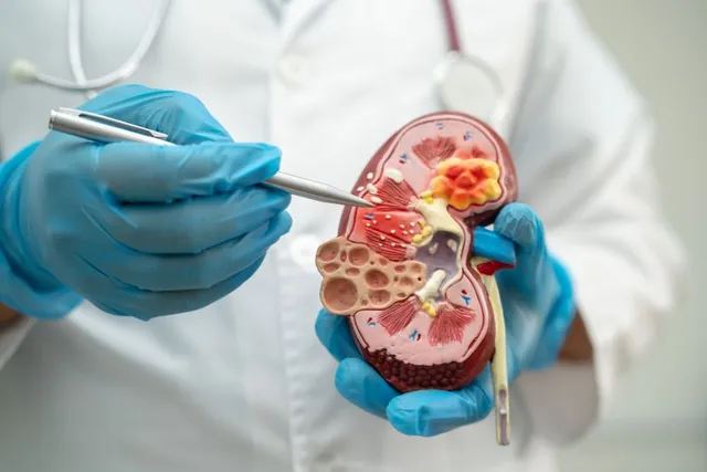 Kidney Damage: 7 Everyday Habits That Silently Damage the Kidneys
