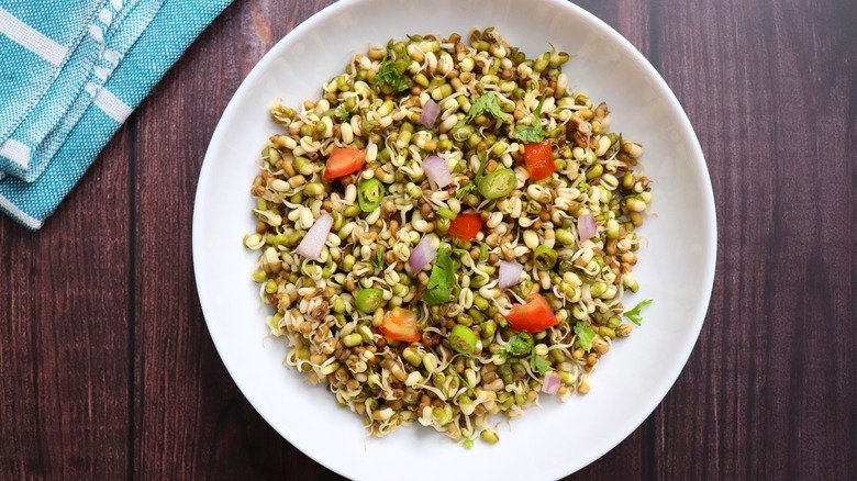 The right way to eat sprouts for maximum protein absorption need recepie