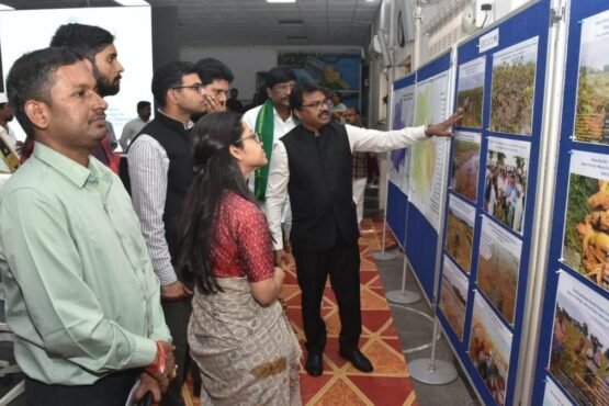 12,570 Hectares of Crops Damaged in District, Says Prakasam Collector