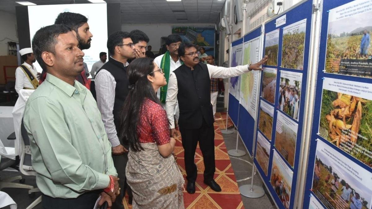 12,570 Hectares of Crops Damaged in District, Says Prakasam Collector