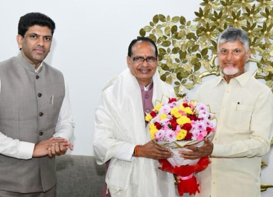 Cyclone Montha’s onslaught and immediate impact